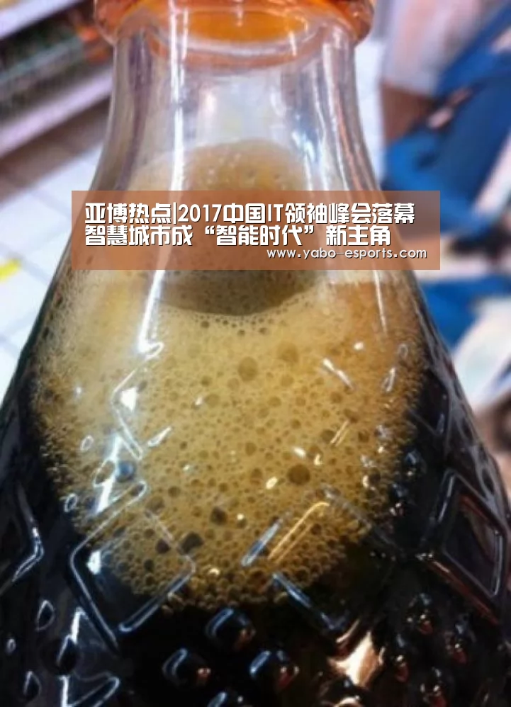 亚博热点|2017中国IT领袖峰会落幕智慧城市成“智能时代”新主角(图2) 亚博热点